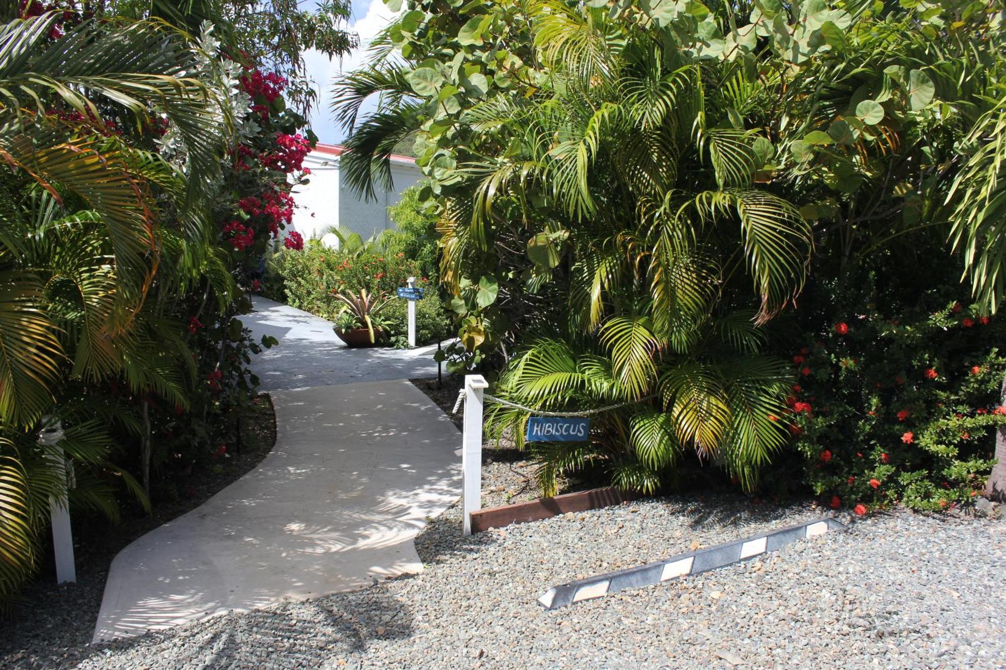 Hibiscus Suite At Sunset Serenade Cruz Bay Exteriör bild